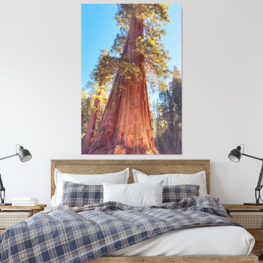 Toile Arbre géant séquoia (Insitu(Chambre))