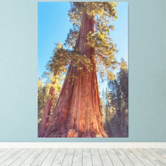 Toile Arbre géant séquoia (Insitu (Plancher de Bois))