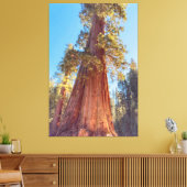 Toile Arbre géant séquoia (Insitu(Salon))