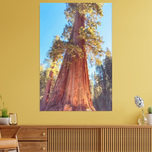 Toile Arbre géant séquoia (Insitu(Salon))