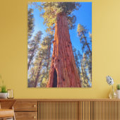 Toile Arbre géant séquoia en forêt (Insitu(Salon))