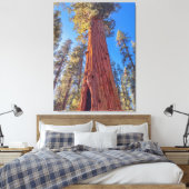 Toile Arbre géant séquoia en forêt (Insitu(Chambre))