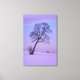Toile Arbre penché dans un champ enneigé; Comté de Chipp