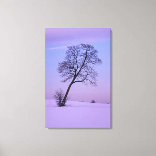 Toile Arbre penché dans un champ enneigé; Comté de Chipp (Recto)