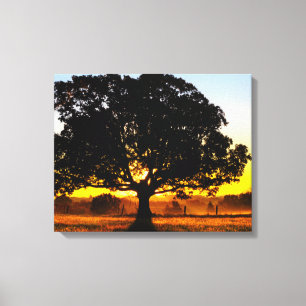 Toile Arbre pendant le matin