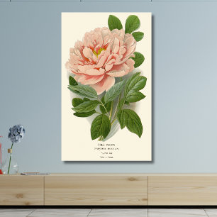 Toile Arbre Peony - Design botanique Vintage élégant