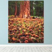 Toile Arbre Ponderosa de vieille croissance avec cônes d (Insitu (Plancher de Bois))