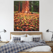 Toile Arbre Ponderosa de vieille croissance avec cônes d (Insitu(Chambre))