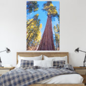 Toile Arbre séquoia géant (Insitu(Chambre))