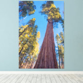 Toile Arbre séquoia géant (Insitu (Plancher de Bois))