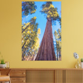 Toile Arbre séquoia géant (Insitu(Salon))