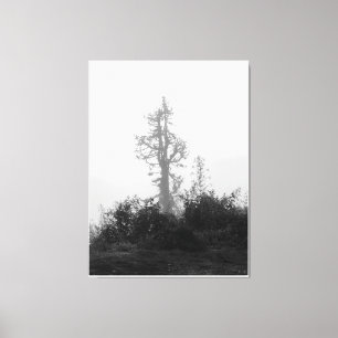 Toile Arbre solitaire dans la fosse matinale