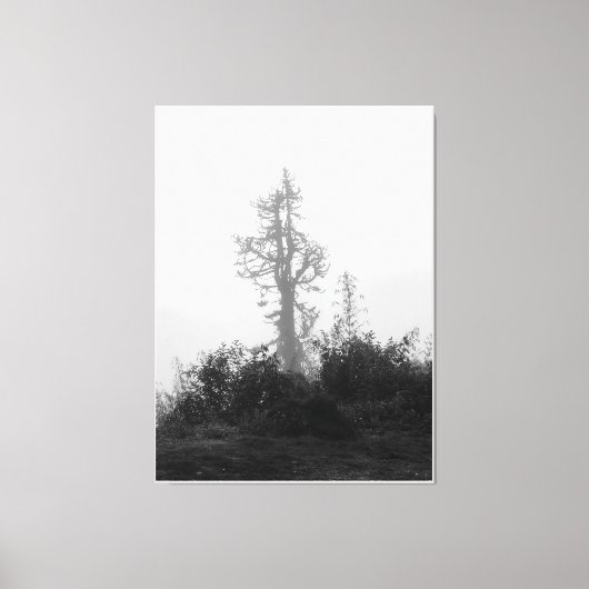 Toile Arbre solitaire dans la fosse matinale (Recto)