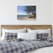 Toile Arbre Sur Une Plage Le Long Du Littoral (Insitu(Chambre))