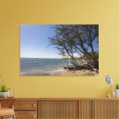 Toile Arbre Sur Une Plage Le Long Du Littoral (Insitu(Salon))