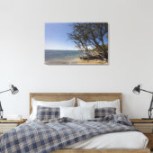 Toile Arbre Sur Une Plage Le Long Du Littoral (Insitu(Chambre))