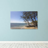 Toile Arbre Sur Une Plage Le Long Du Littoral (Insitu (Plancher de Bois))