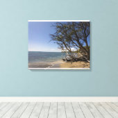 Toile Arbre Sur Une Plage Le Long Du Littoral (Insitu (Plancher de Bois))