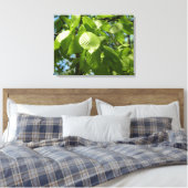 Toile Arbre vert Feuille à bouleau printanier (Insitu(Chambre))