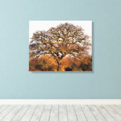 TOILE ARBRES (Insitu (Plancher de Bois))