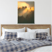 Toile Arbres à séquoias dans le brouillard côtier, Comté (Insitu(Chambre))