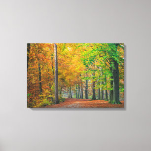 Toile Arbres avec le feuillage d'automne dans une forêt