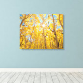 Toile Arbres d'Aspen | Sierra Nevada Mountains, CA (Insitu (Plancher de Bois))