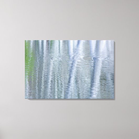 Toile Arbres d'aulnes | Bainbridge Island, WA (Recto)