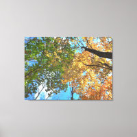 Arbres d'automne Lg Canvas Imprimer