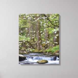 Toile Arbres de cornouiller Great Smoky Mountain, Tenn