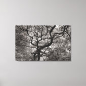 Toile Arbres de Magnolia en fleurs 03 (Recto)