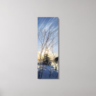 Toile arbres d'hiver