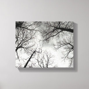 Toile Arbres d'hiver Ciel nuageux