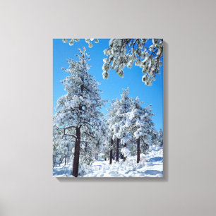 Toile Arbres enneigés dans les montagnes de Laguna