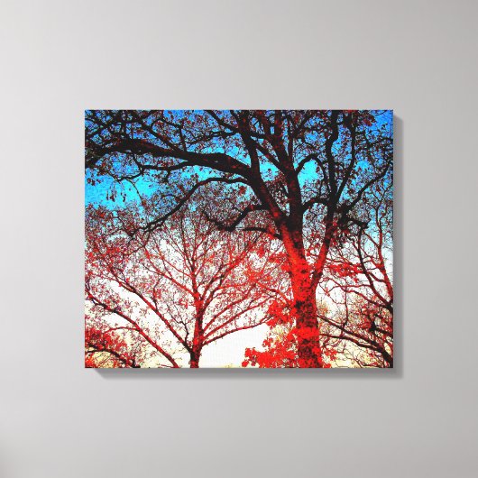 Toile Arbres noirs et blancs en hiver Photo (Recto)