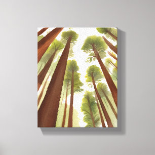 Toile Arbres Redwood Aquarelle du Parc National Redwoo