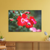 Toile Arbuste du 4 juillet (Insitu(Salon))