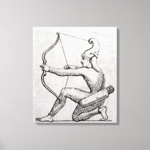 Toile Archer