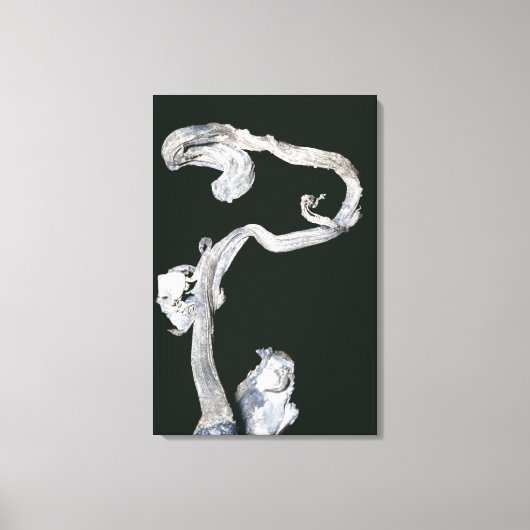 Toile Argent natif (Recto)