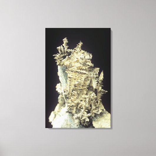 Toile Argent natif (Ag) sur calcaire, Canada (Recto)