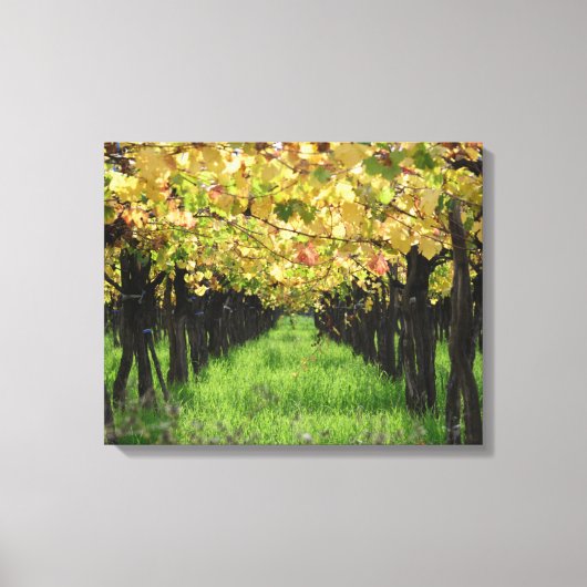Toile Argentine, Mendoza, Rangée De Raisins Dans Le Vign (Recto)