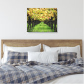 Toile Argentine, Mendoza, Rangée De Raisins Dans Le Vign (Insitu(Chambre))