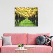 Toile Argentine, Mendoza, Rangée De Raisins Dans Le Vign (Insitu(Salon))