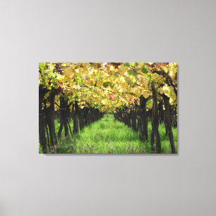 Toile Argentine, Mendoza, Rangée De Raisins Dans Le Vign