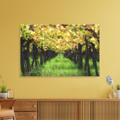 Toile Argentine, Mendoza, Rangée De Raisins Dans Le Vign (Insitu(Salon))