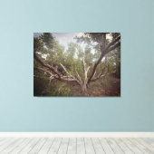 Toile Armoiries étirées (Insitu (Plancher de Bois))