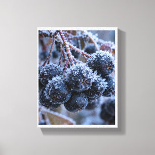 Toile Aronia gel macro