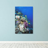 Toile Around Small Coral (Insitu (Plancher de Bois))