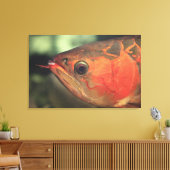 Toile Arowana asiatique (Insitu(Salon))