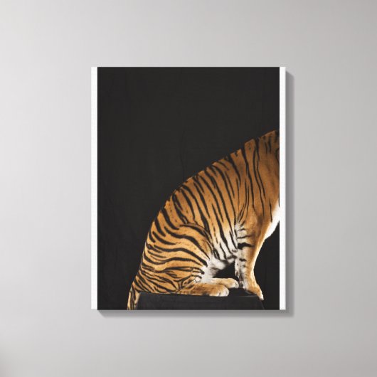 Toile Arrière du tigre assis sur la plateforme (Recto)